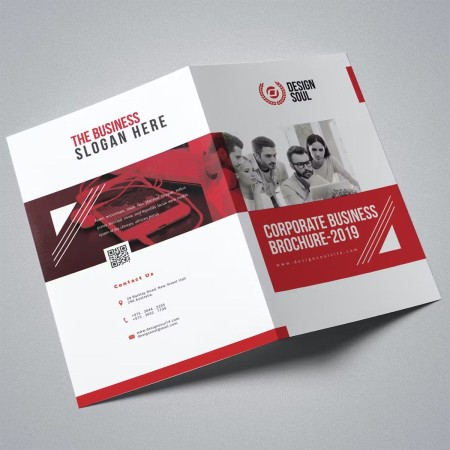 500 Brochures 8.5"x11" Folded to 8.5"x5.5" 500 Brochures 8.5